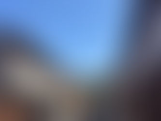 春のリフォーム