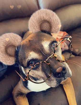 duke