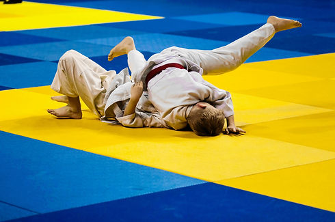 Judo Fighting