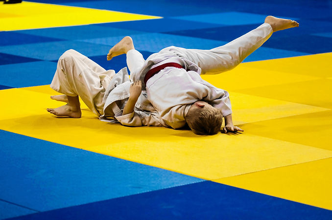 Judo Fighting