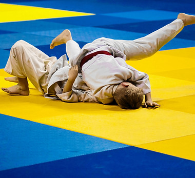 Judo Fighting