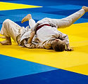 Judo Fighting