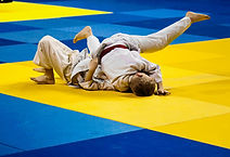 Les combats de judo