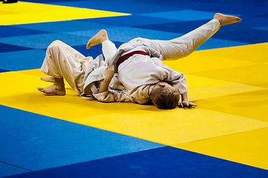 Judo Fighting