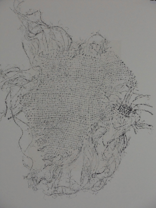 Another Fine Mesh 5