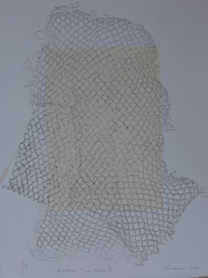 Another Fine Mesh 1