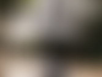 בוקר טוב פארק שרונה מה עושים היום?