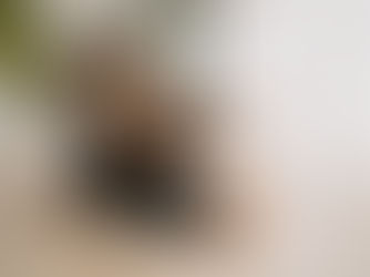 אימון עם קיר: תנועה קטנה, השפעה גדולה