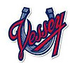 vessey-co-logo.jpg
