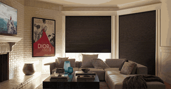 rolo blackout, home theater 