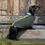 Thumbnail: Available at Margaux's Hertford