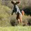 Thumbnail: Margaux's Lifestyle Store for Dogs