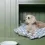 Thumbnail: Paloma's Products Ceramic Food Bowl