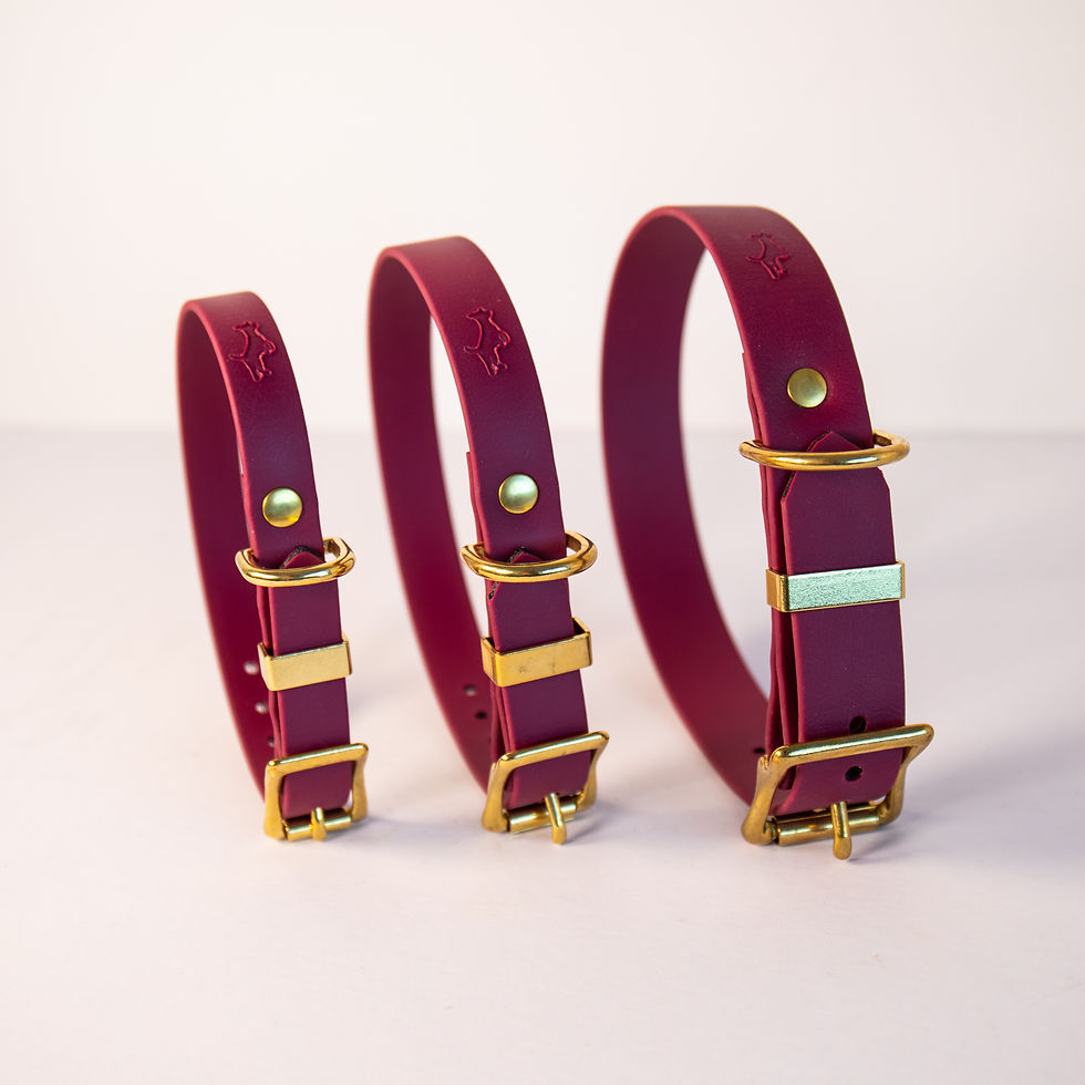 Thumbnail: Storeys & Tails