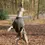Thumbnail: Margaux's Lifestyle Store for Dogs Hertford