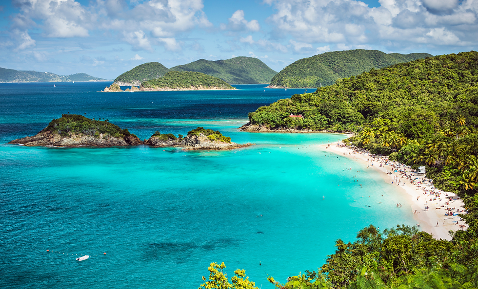 Untitled design (96).png