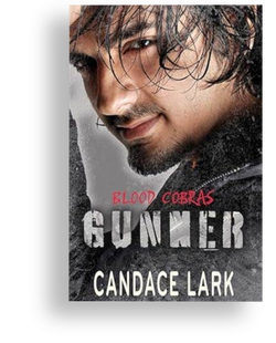 Gunner: An Age Gap Mafia Romance (Blood Cobras Book 3) by Candace Lark