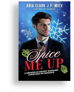 Spice Me Up: A Snowed-In Grumpy/Sunshine Christmas MM Romance (Love Takes No Holidays Book 2) by Ari