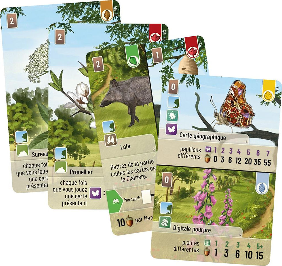 Miniature : Extension Foret mixte lisière de forêt par Lookout Games