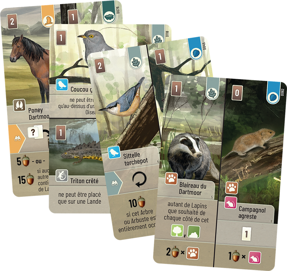 Miniature : Jeu expert Foret mixte dartmoor par Lookout Games