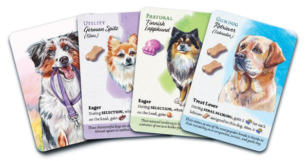 Miniature : Dog park - Edition collector - Kickstarter - Birdwood Games