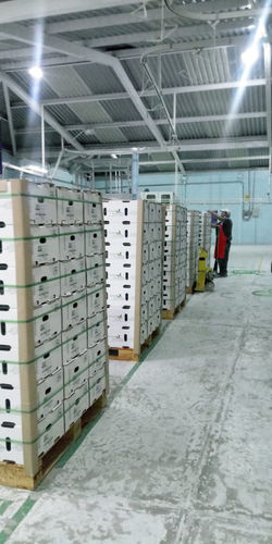 Pallets_11Kgs_Aereo