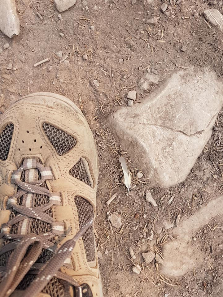 The Beginner’s Guide to Selecting Hiking Footwear