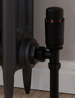 Black radiator valve