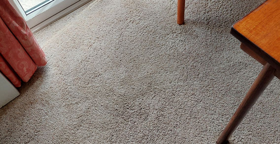 Grey carpet after being cleaned
