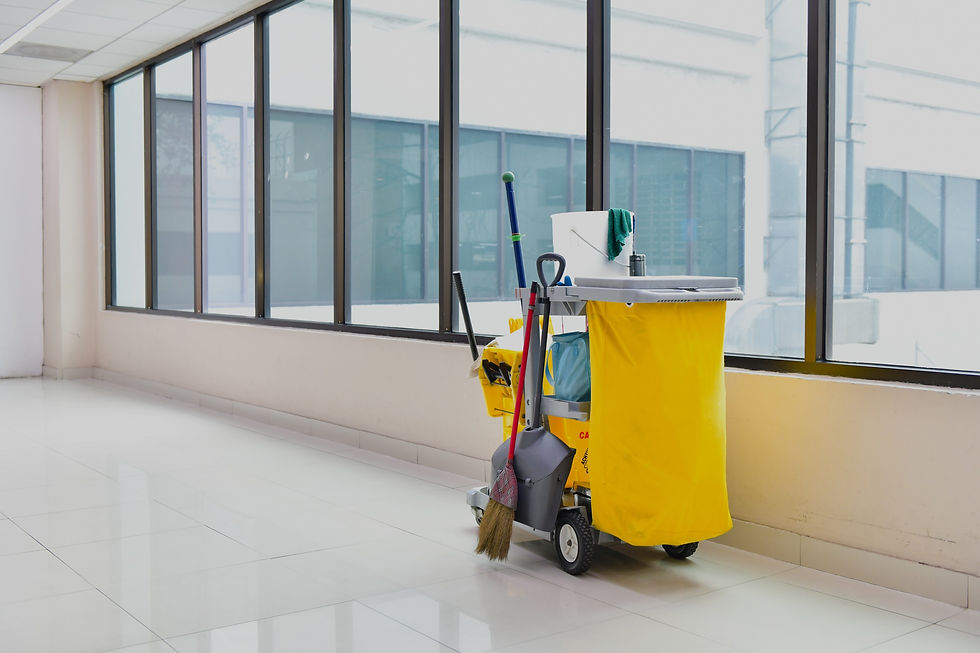 Commercial cleaning trolley