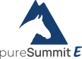 PureSummit E (icon).png