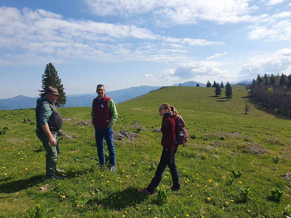 Projektmitarbeiter beim Lokalaugenschein am Tirolerkogel
