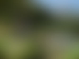 Ötscher-Basis in Wienerbruck mit Ötscher-Turm