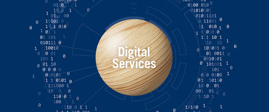 Digital Services.jpeg