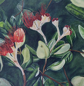 Pohutukawa flowers