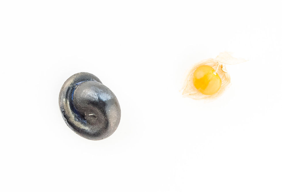 Miniature : Knoble(s) 052