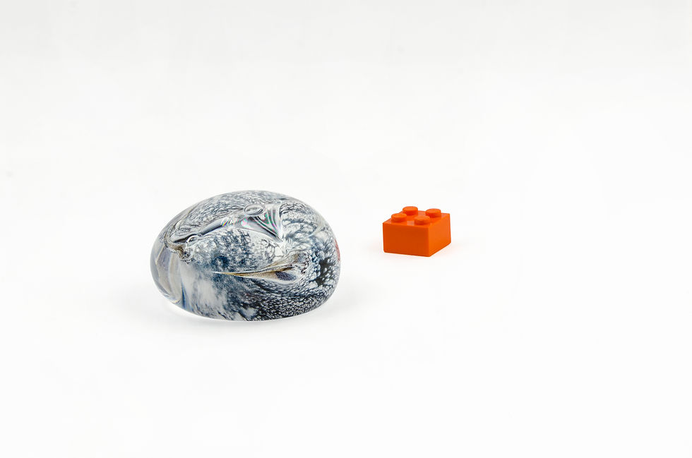 Miniature : Knoble(s)A31