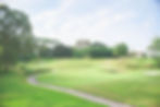 Oakley Prizm Golf Lens View