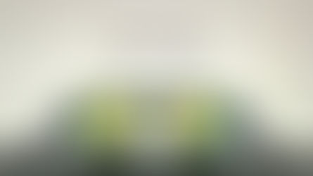 Oakley Prizm Ruby Lens View