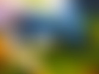 Maui Jim Neutral Grey Sunglasses Lens Review