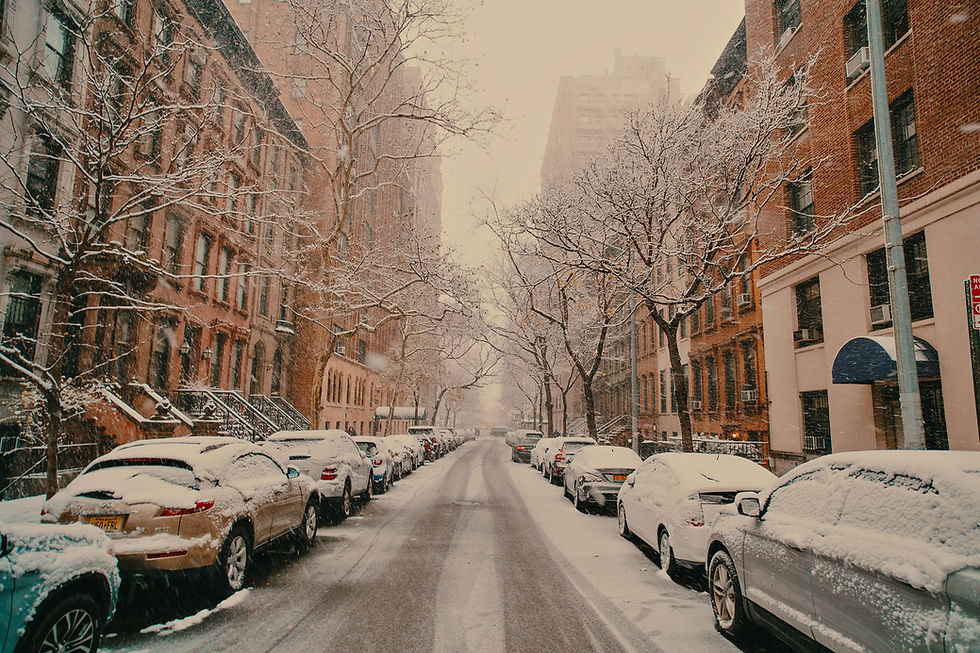 Brown lenses for winter