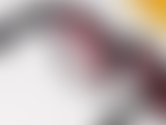 Serengeti Sedona Polarized Sunglasses Lens Review