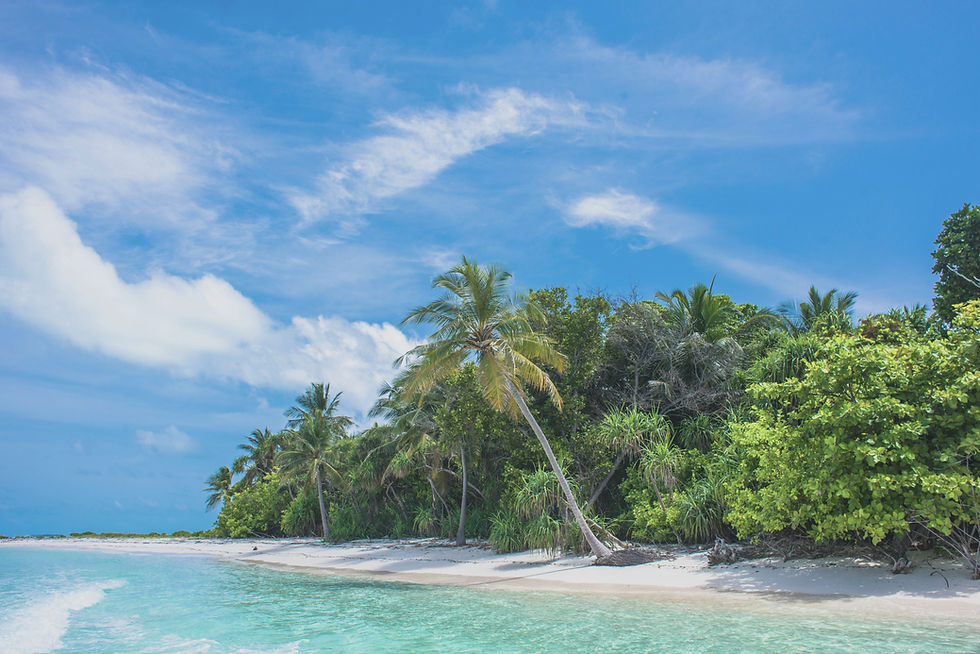 Maui Jim Neutral Grey Lens View