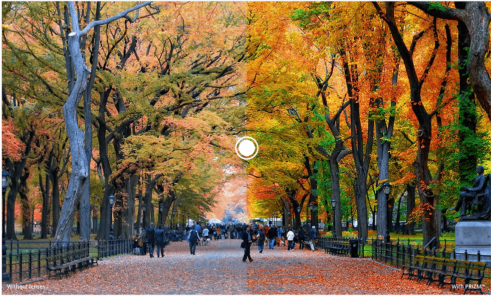 Oakley Prizm Tungsten Lens View