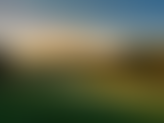 Maui Jim HT (High Transmission) Sunglasses Lens Review