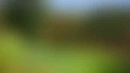 Oakley Prizm Dark Lens