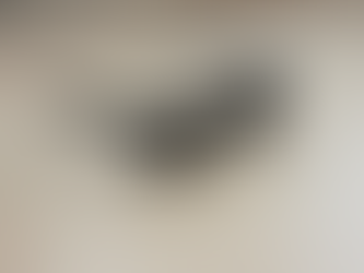 Island Optics Grey 12 Lens