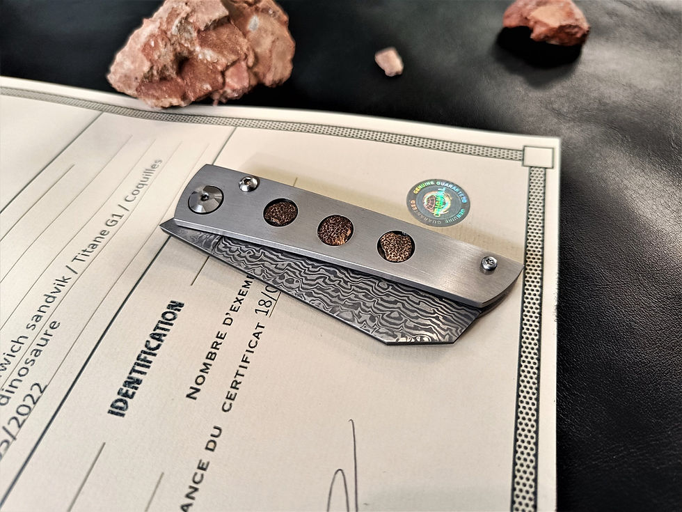 Miniature : Le Dino Titane