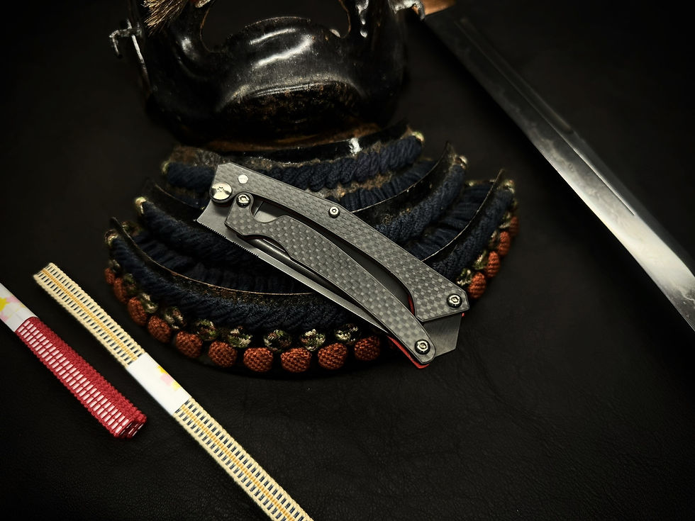 Miniature : MecaTech Samouraï