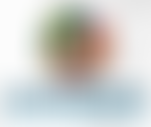 Latin Euromerican G8 Insolvency and Restructuring Program